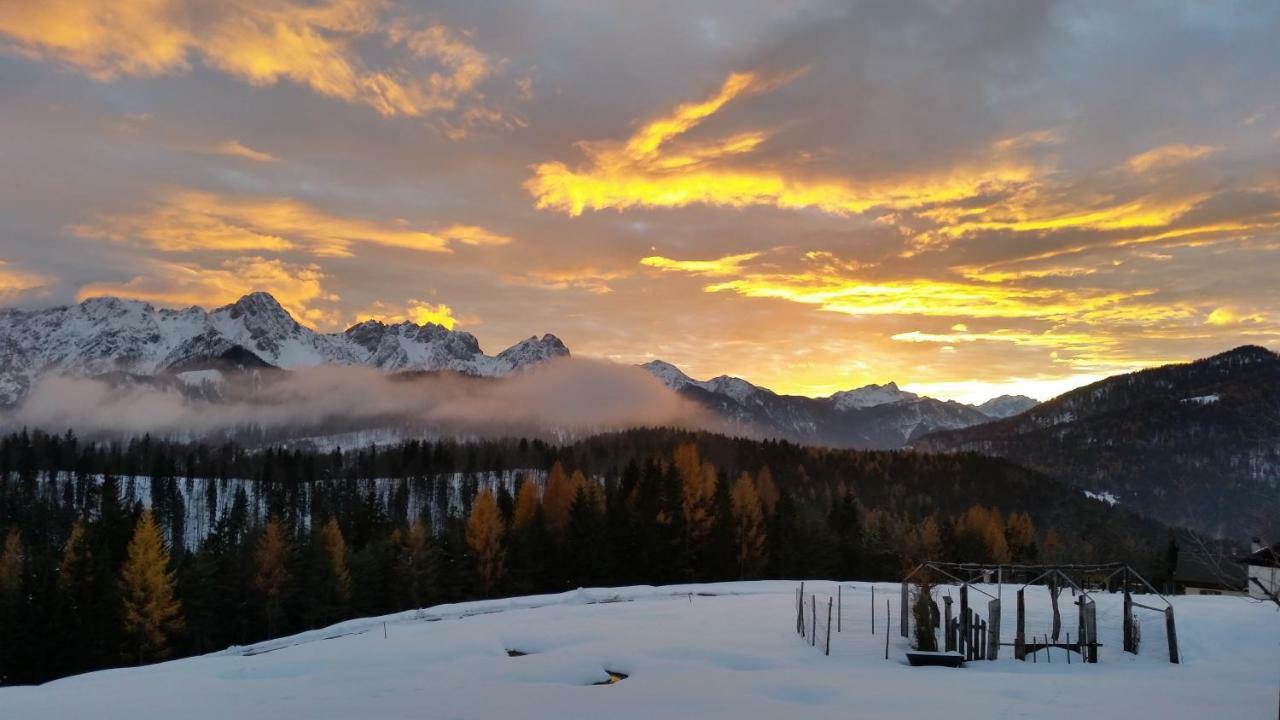 فيلا Agriturismo Gacceman Ugovizza المظهر الخارجي الصورة