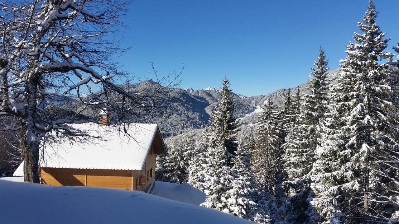 فيلا Agriturismo Gacceman Ugovizza المظهر الخارجي الصورة